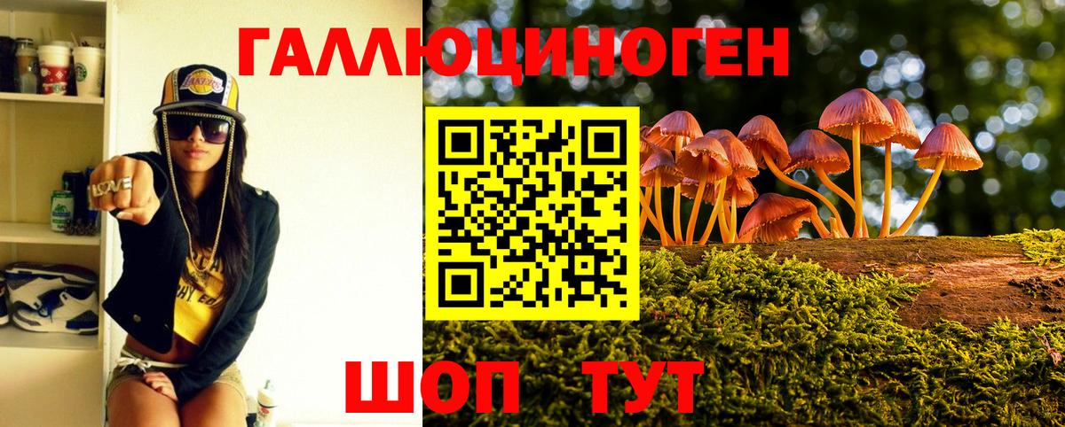 Псилоцибиновые грибы Psilocybine cubensis Псков