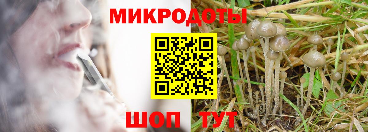 Псилоцибиновые грибы Cubensis  Вход с VPN  Псков 